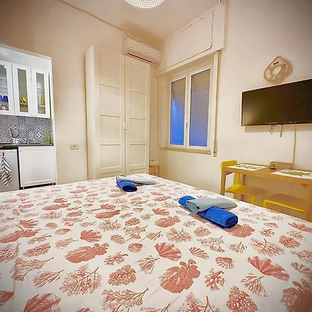 La 2 Monolocale Con Accesso Privato In Spiaggia Torvaianica